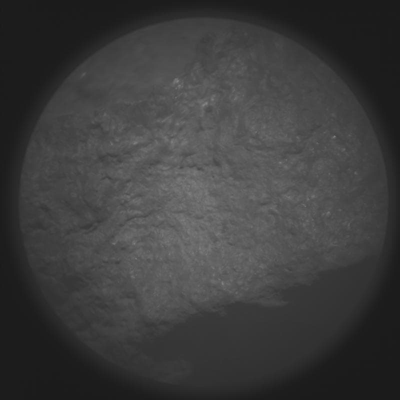Perseverance - SuperCam Remote Micro Imager - Sol 2009
