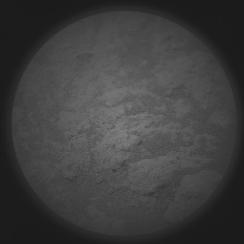 Perseverance - SuperCam Remote Micro Imager - Sol 2009