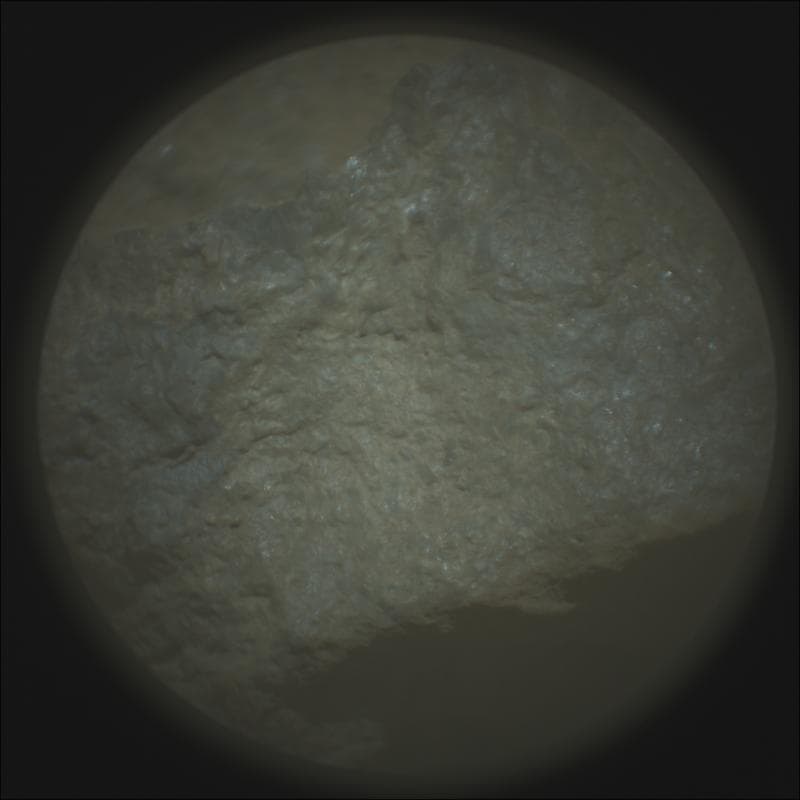 Perseverance - SuperCam Remote Micro Imager - Sol 2009
